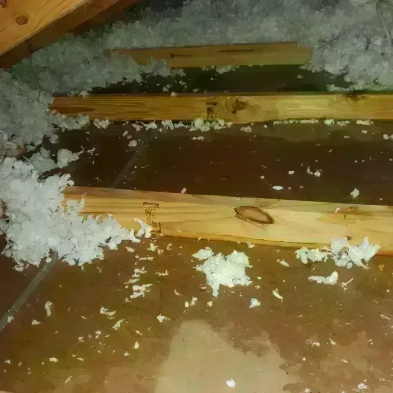 Attic Water Damage in Noble County, OH