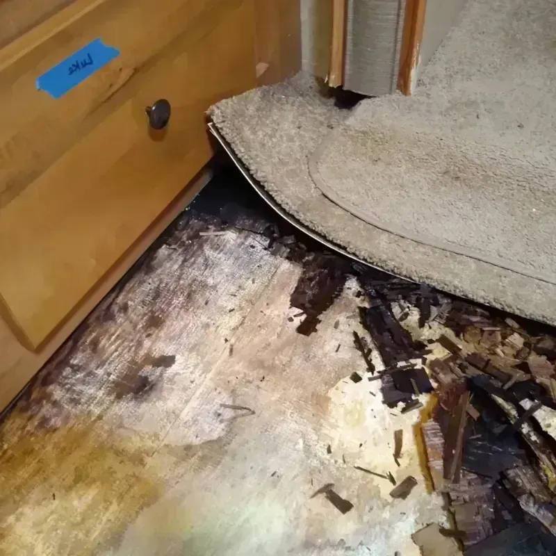 Wood Floor Water Damage in Noble County, OH